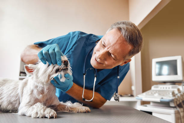Best Emergency Root Canal Therapy in Keansburg, NJ